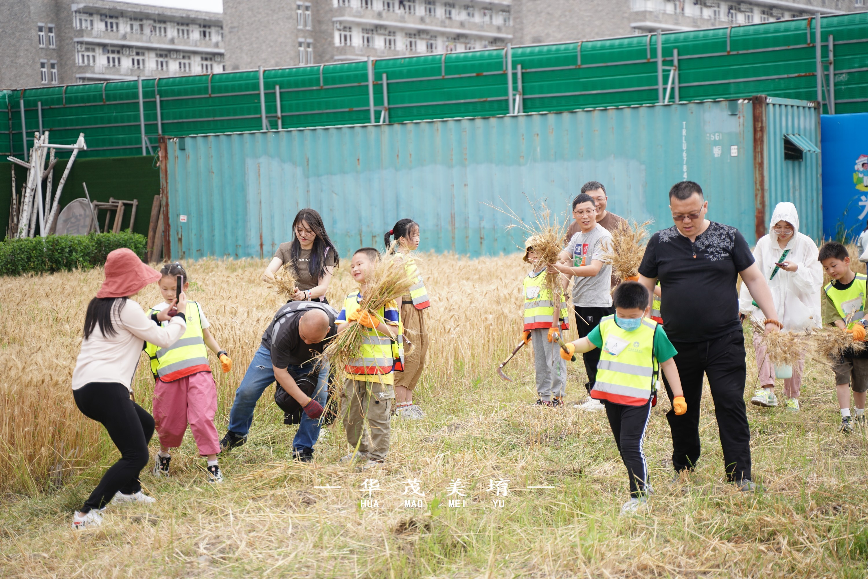 1685345337670253Hf9k.jpg DSC04644-opq447936120.jpg